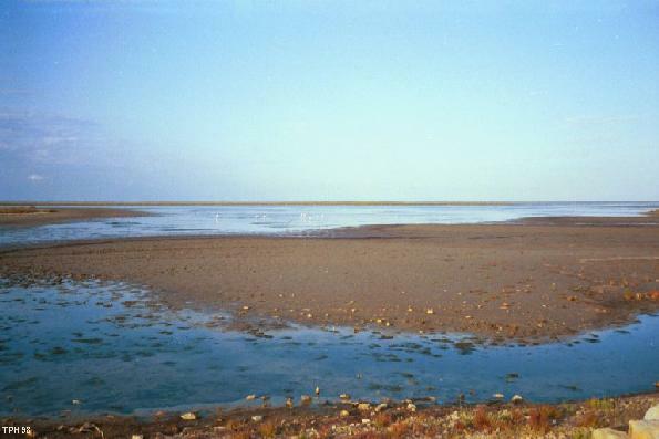 photo of Camargue