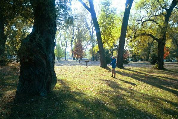 photo of Toronto Island.
