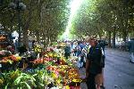 photo of Flower Market